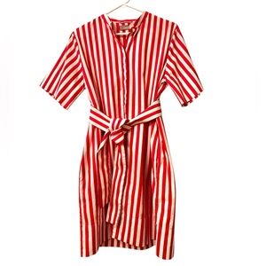 Everlane Striped Collarless Belted Shirt Dress